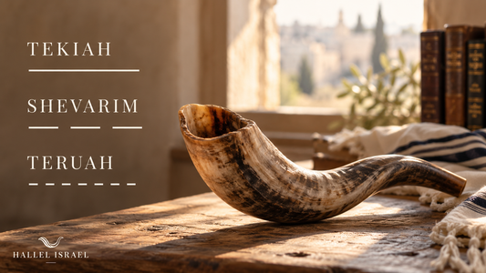 The 3 Shofar Sounds Explained: Tekiah, Shevarim, and Teruah