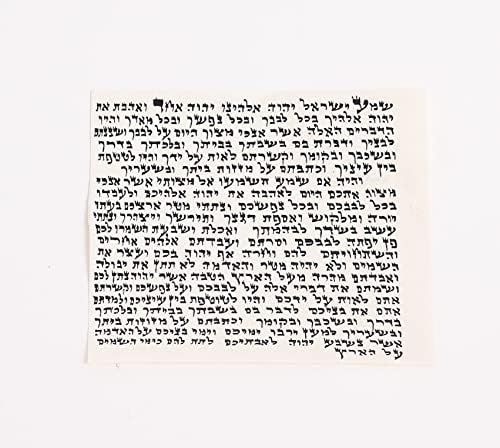 Mezuzah scroll and case guide
