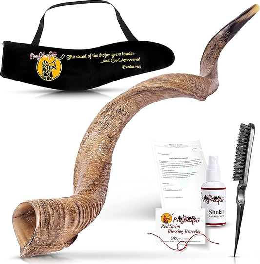 Authentic Israeli Kudu Shofar | Handcrafted Kosher Horn for Jewish Holidays & Rituals