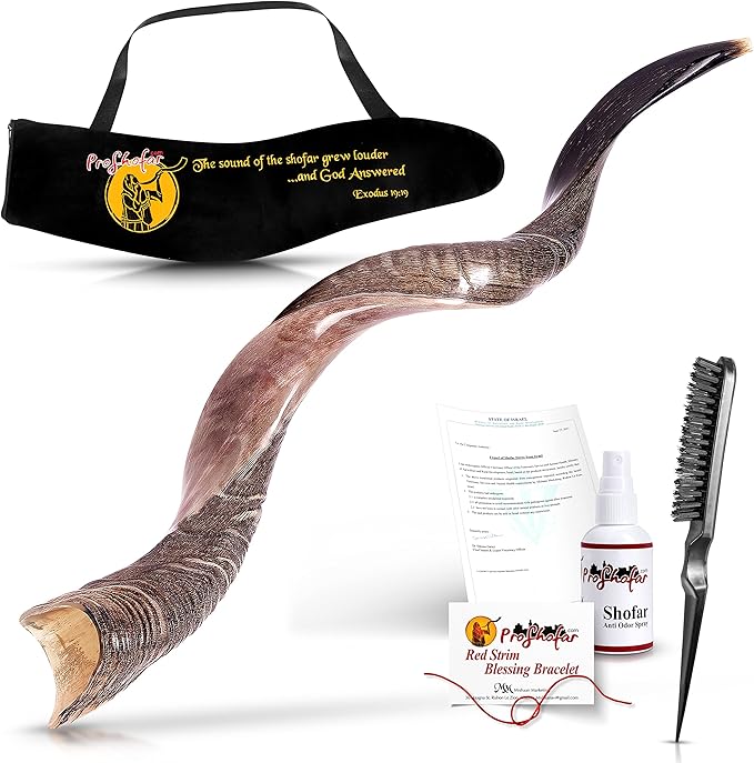 Kudu shofar size and finish options displayed together