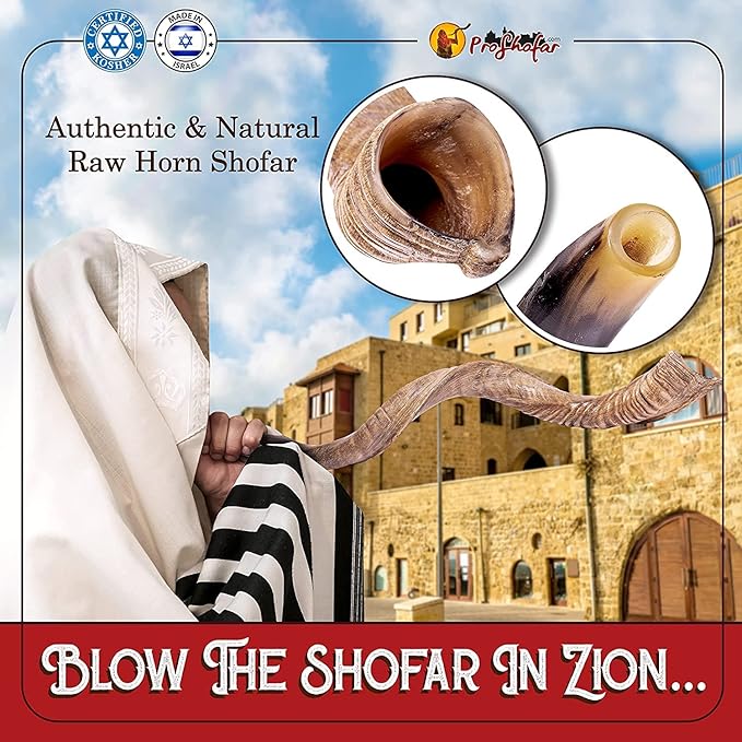 Kudu shofar half-polished finish