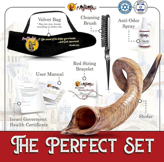 Authentic Israeli Kudu Shofar | Handcrafted Kosher Horn for Jewish Holidays & Rituals