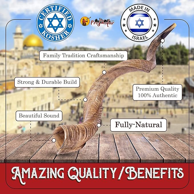 Kudu shofar showing curved shape and mouthpiece