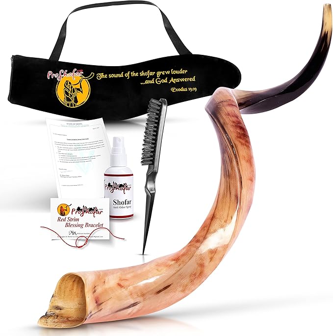 Kudu shofar full length view