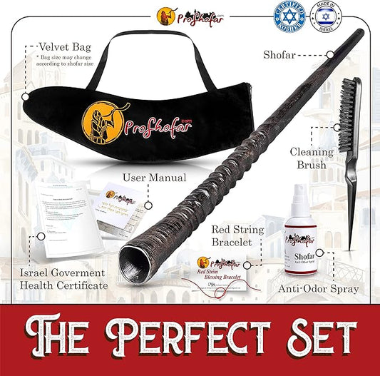 Authentic Gemsbok Oryx Natural Shofar | Premium Shofar Set | Handcrafted Jewish Kosher Ram's Horn for Jewish Holidays & Rituals