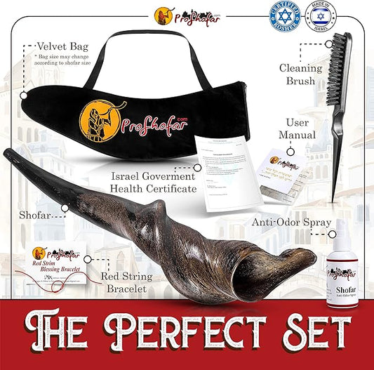 Authentic Eland Natural Shofar | Handcrafted Kosher Eland's Horn for Jewish Holidays & Rituals