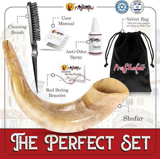 Authentic Kosher Ram's Horn | Premium Shofar Set | Handcrafted Jewish Kosher Shofar for Jewish Holidays & Rituals|