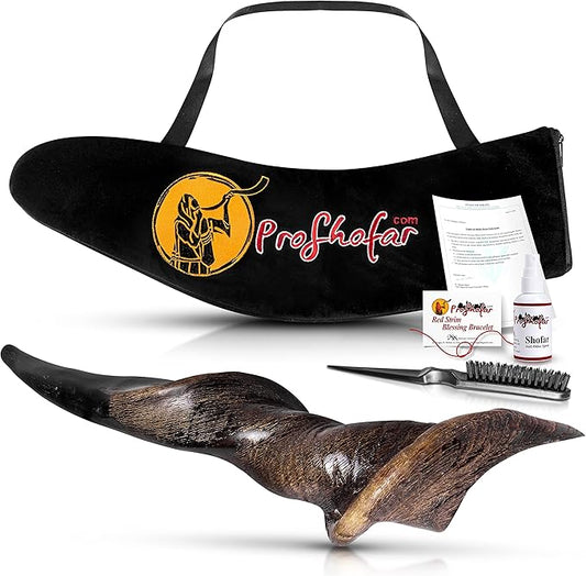 Authentic Eland Natural Shofar | Handcrafted Kosher Eland's Horn for Jewish Holidays & Rituals