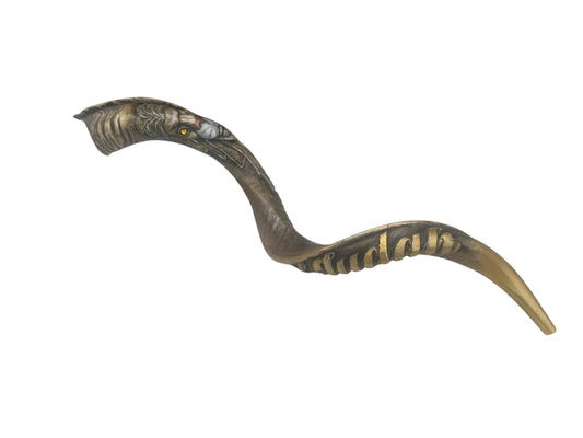 Premium Kudu Lion of Judah Shofar | Hand-Engraved Hebrew Inscription | Large Ceremonial Yemenite Horn