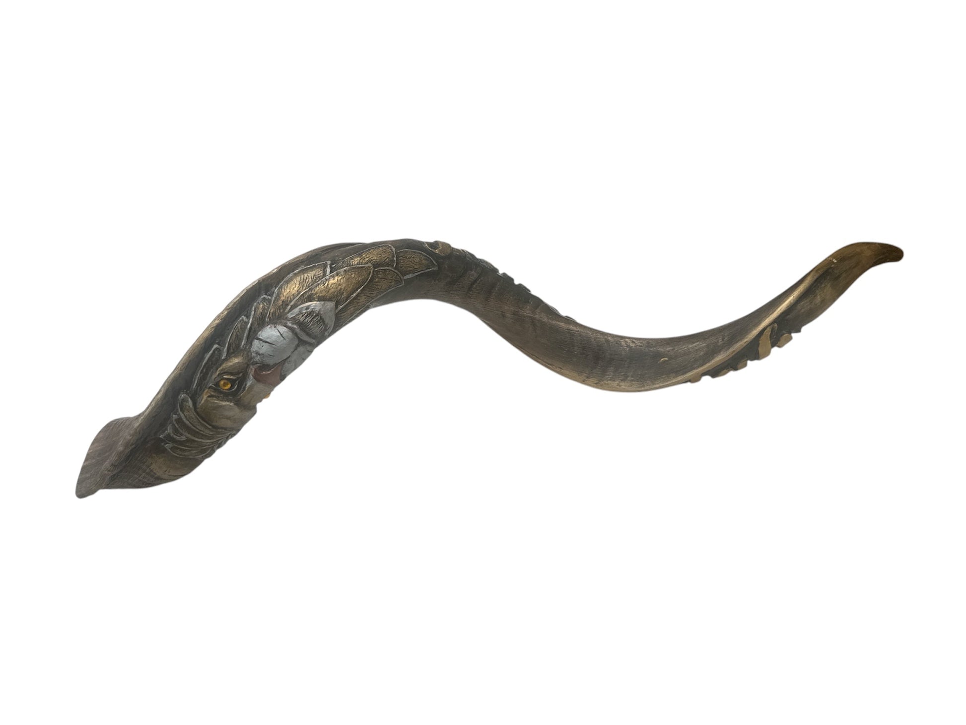 Full length view of large ceremonial Yemenite kudu shofar