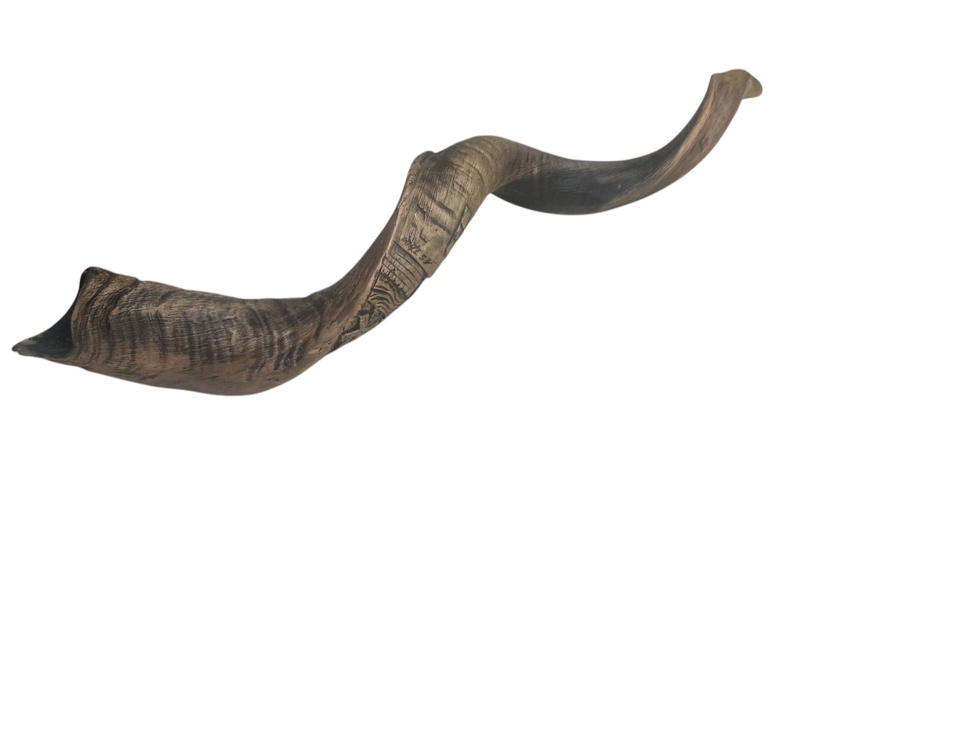 Detail of Jerusalem skyline engraving on kudu shofar