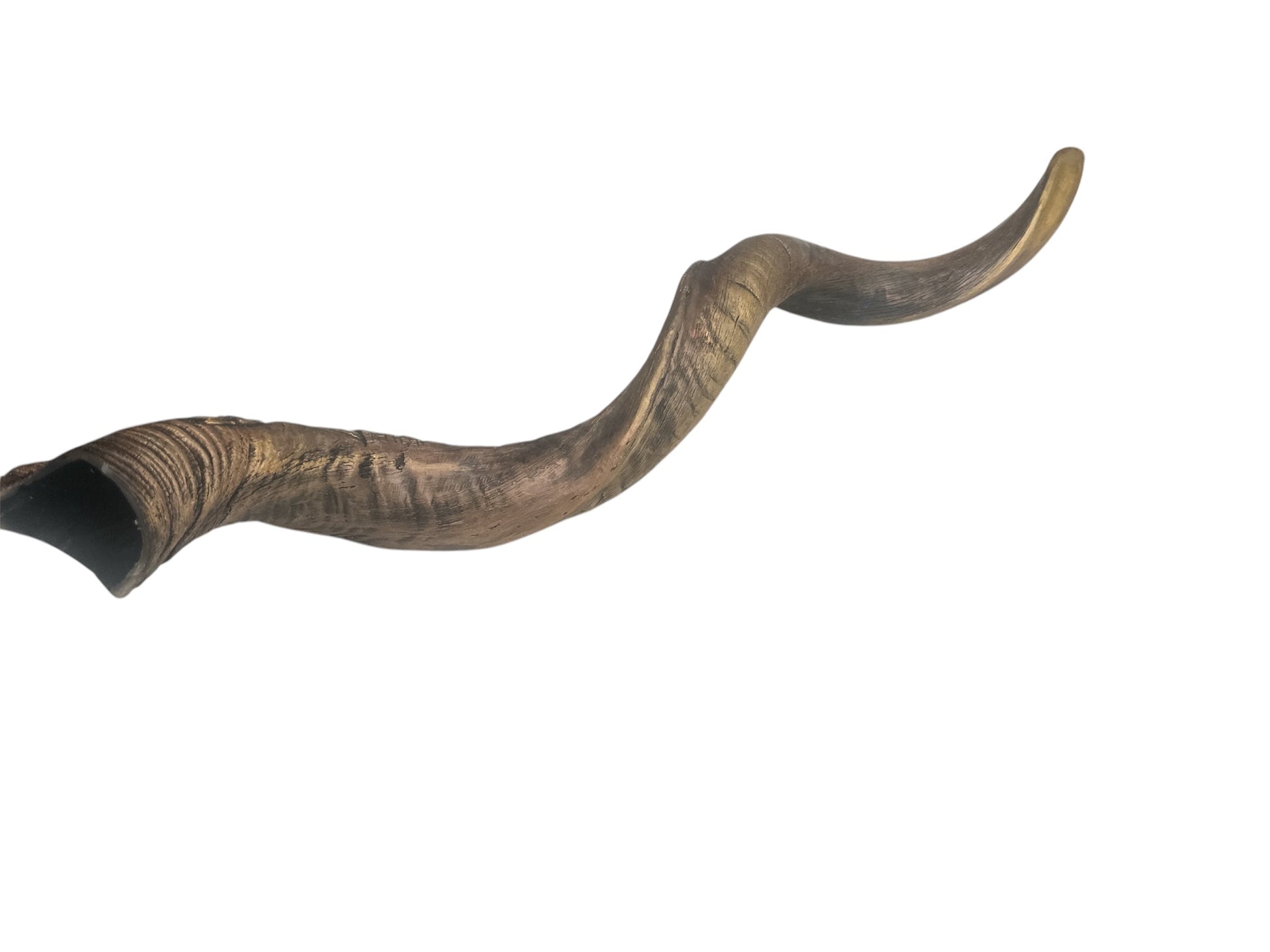 Close-up of Jerusalem engraving detail on natural kudu horn