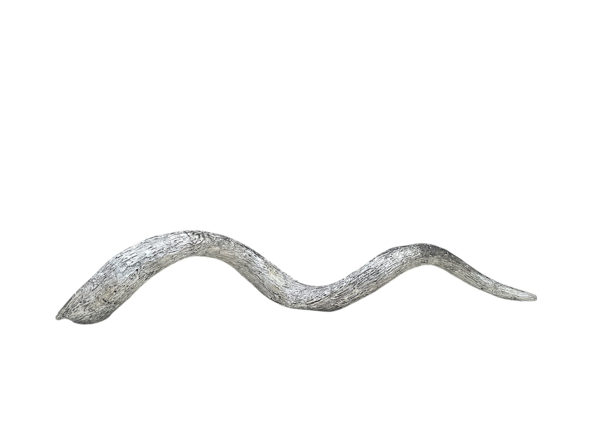 Close-up of full silver casing on kudu shofar horn