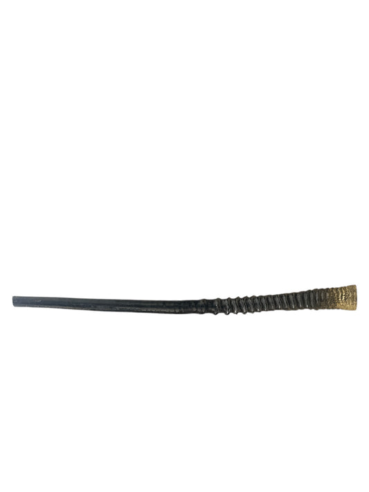 Limited Edition Lion of Judah Oryx Shofar | Rare Hand-Engraved Ceremonial Horn | 1 of 100 Collector's Piece