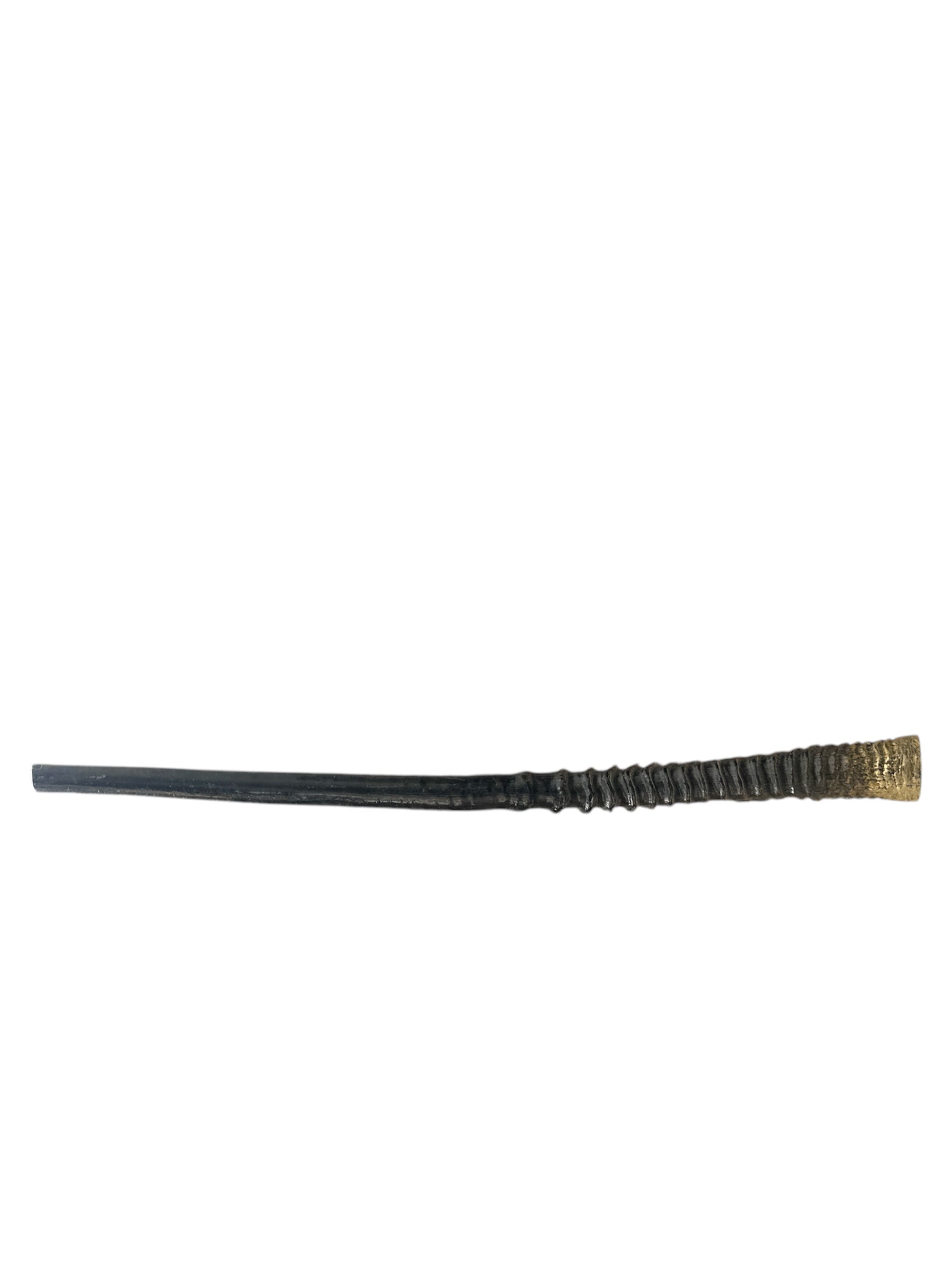 Close-up of Lion of Judah engraving on oryx wand shofar
