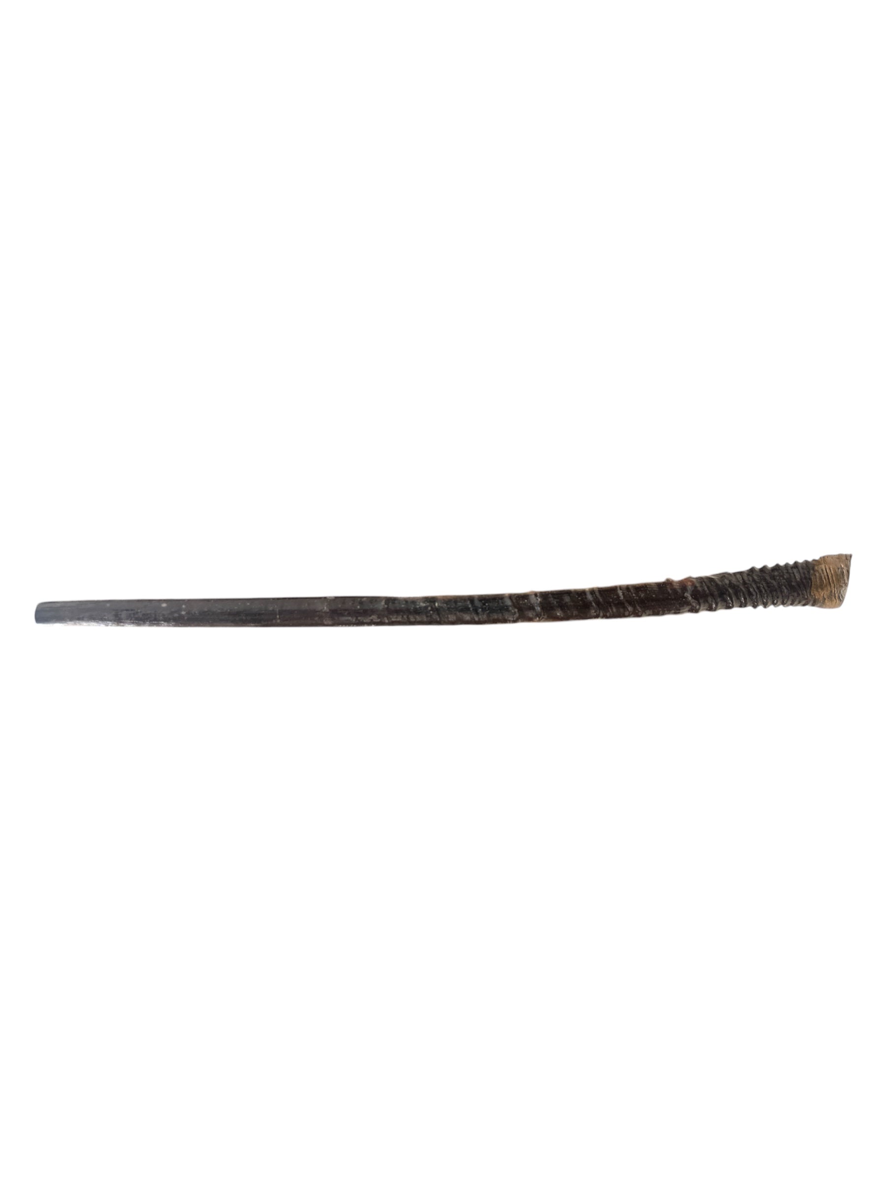 Close-up of Jerusalem engraving on oryx wand shofar