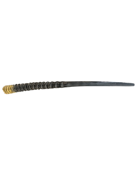 Limited Edition Jerusalem Oryx Shofar | Rare Hand-Engraved Ceremonial Horn | 1 of 100 Collector's Piece
