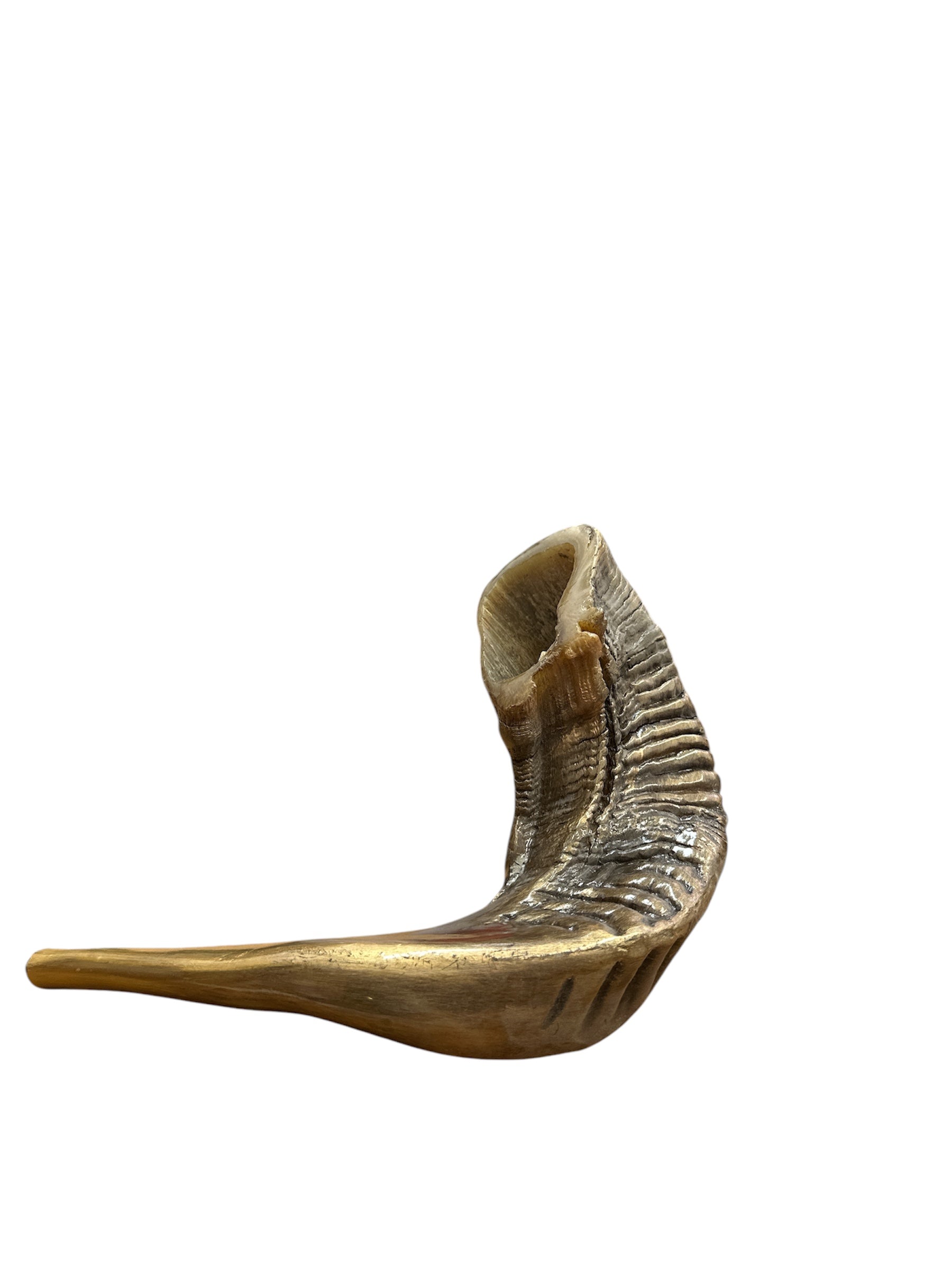 Close-up of gold-accented Holy Ark engraving on ram's horn shofar