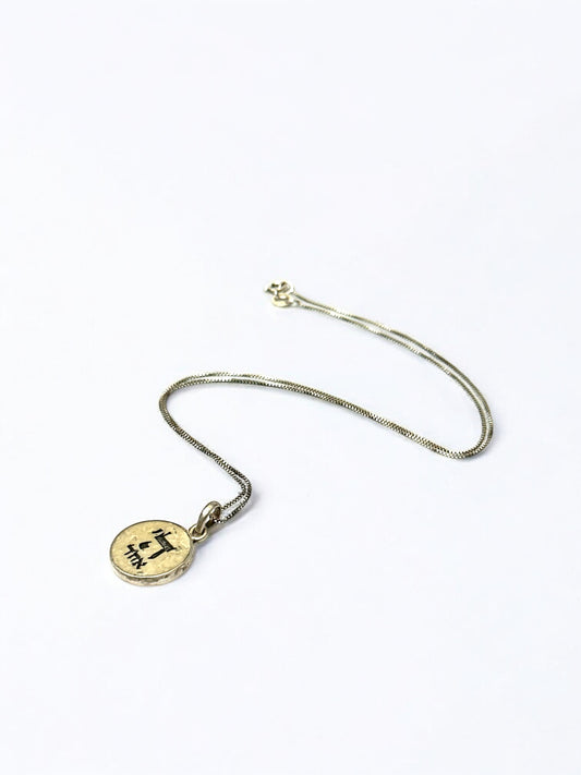 'Hashem Ehad' Jerusalem Stone Medallion Necklace | Sterling Silver 925 Chain | Made in Israel